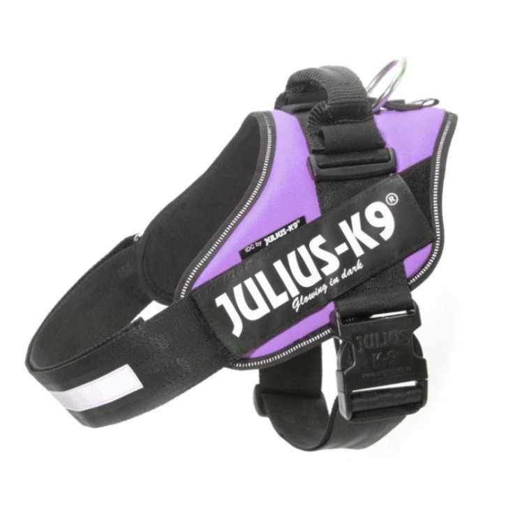 ARNÉS JULIUS K9 POWERHARNESS MORADO 2