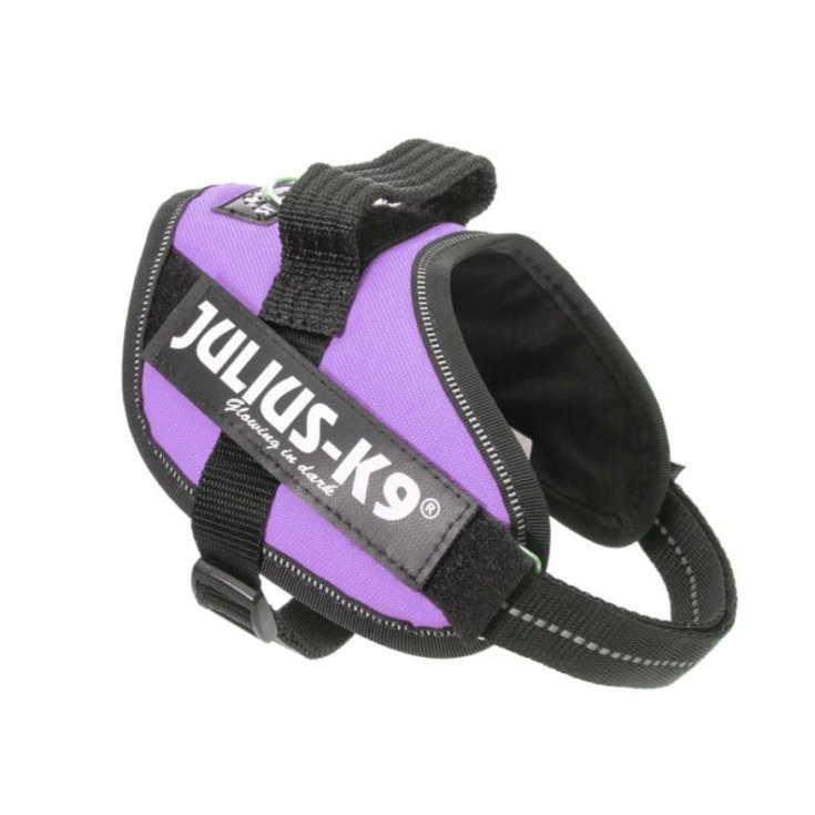 JULIUS K9 POWERHARNESS MORADO ARNÉS M