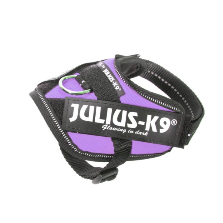 ARNÉS JULIUS-K9 POWERHARNESS MORADO B