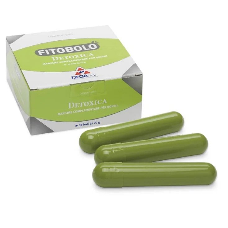 FITOBOL DETOXICO 10X70G