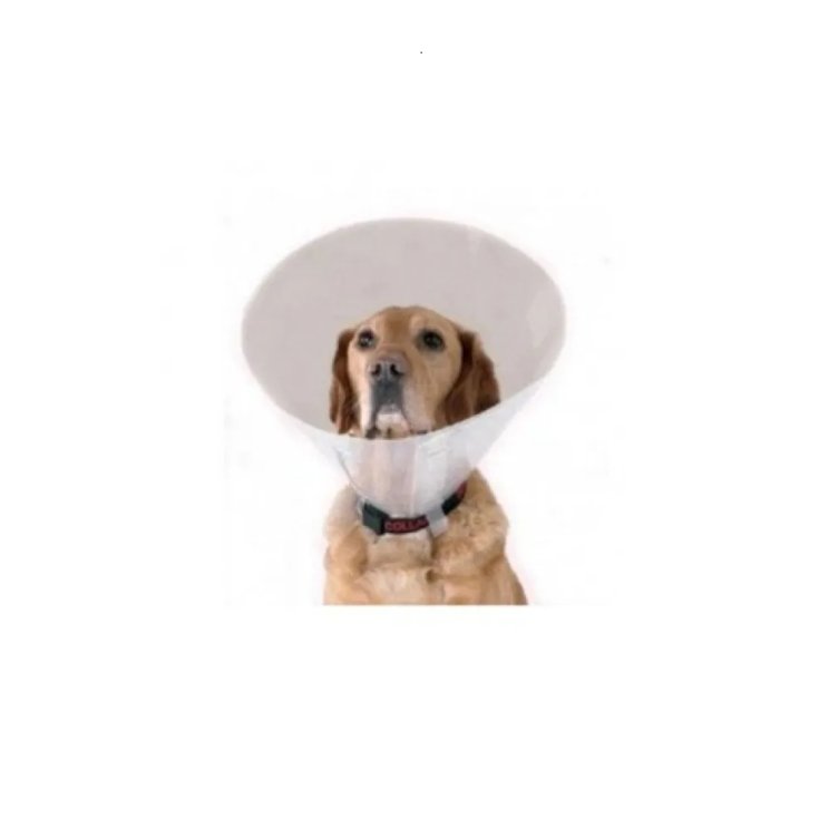 PROFICOL CUELLO TRANSP 10 XS