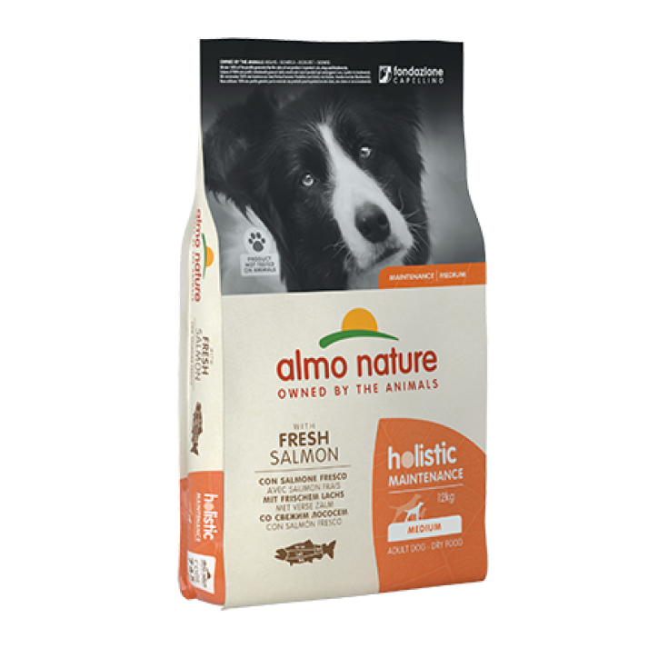 SALMÓN/ARROZ MEDIANO 12KG