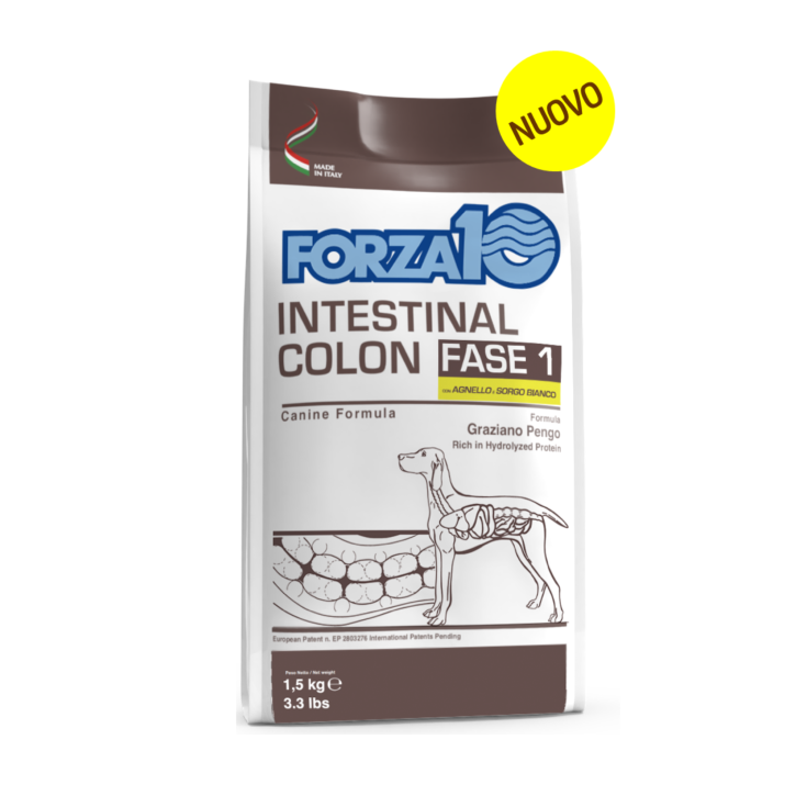 FORZA10 INTESTINAL CA/S PERRO