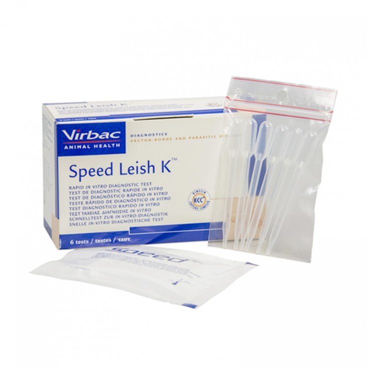 PRUEBA DE VELOCIDAD LEISH 6