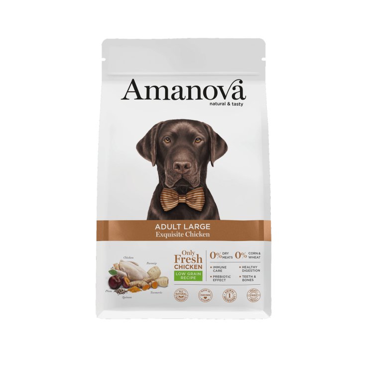 AMANOVA ADULTO GRANDE EQUISITO POLLO 12