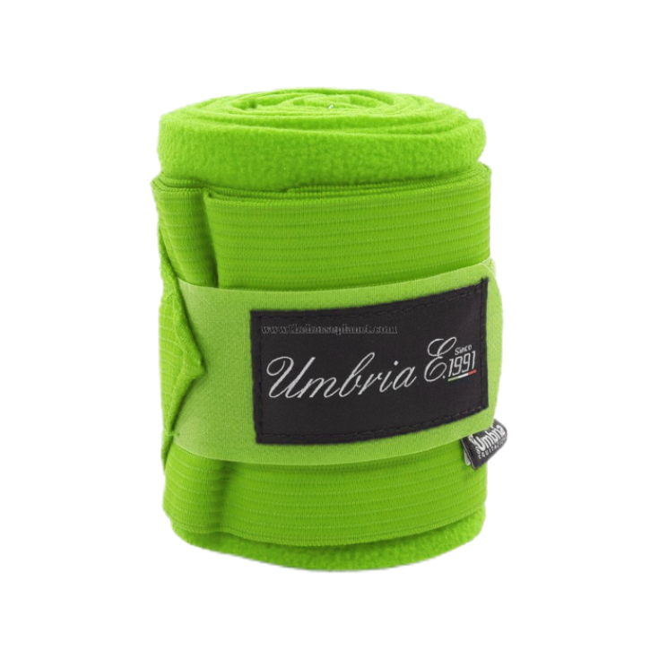 BANDAS POLARES + ELÁSTICOS SET 4 UD LIMA