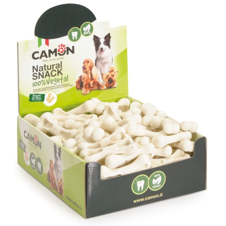 HUESOS DENTALES DISPLAY 7CM