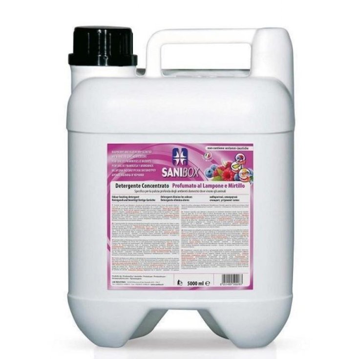 SANIBOX 5 LT FRAMBUESA ARÁNDANO