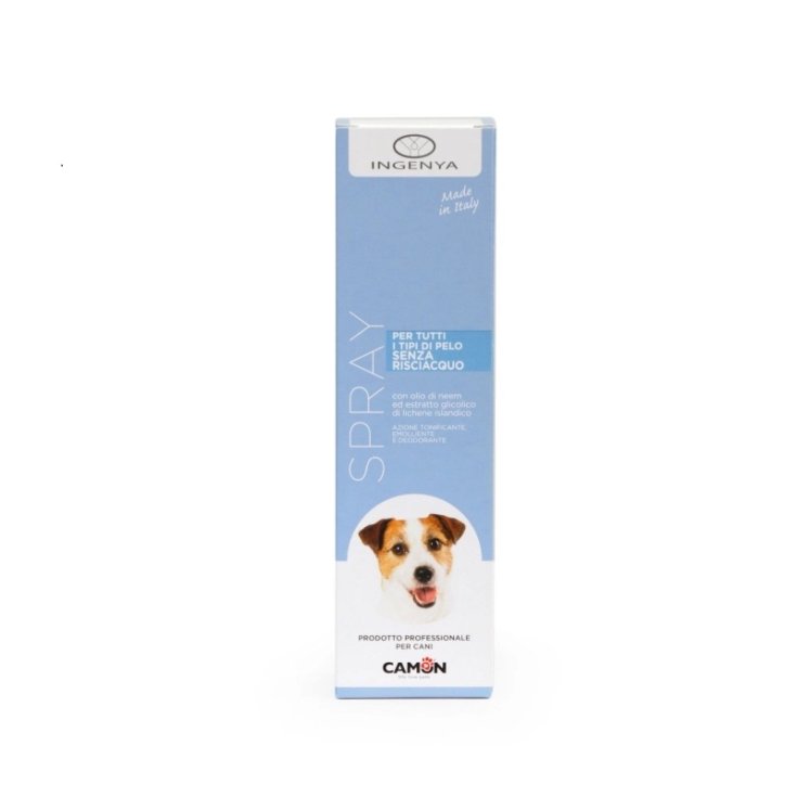 CHAMPÚ AUTOENJUAGUE 200ML