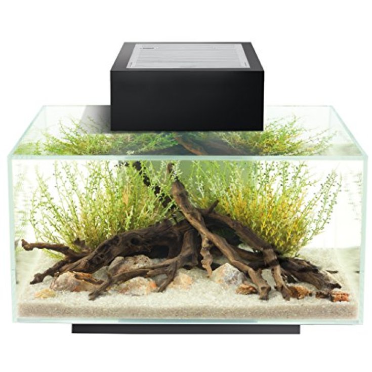 ACUARIO BORDE NEGRO