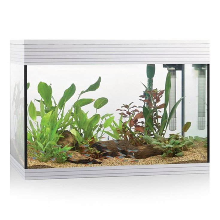 ACUARIO PURE KIT L LED BLANCO