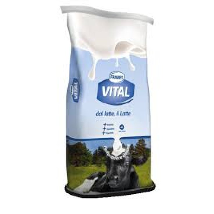 VITAL LECHE OVEJA-CABRA LK 50+ 10KG