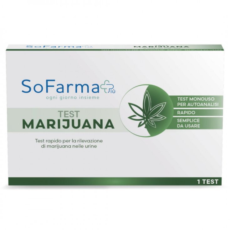 MARIHUANA AUTOESTABLE DE SOFARMAPIU