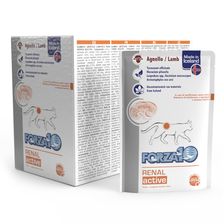 FORZA10 ACTIWET RENAL GATT100G