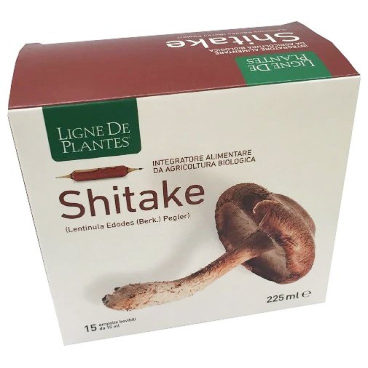 LIGNE SHITAKE BIO 15AMP 15ML