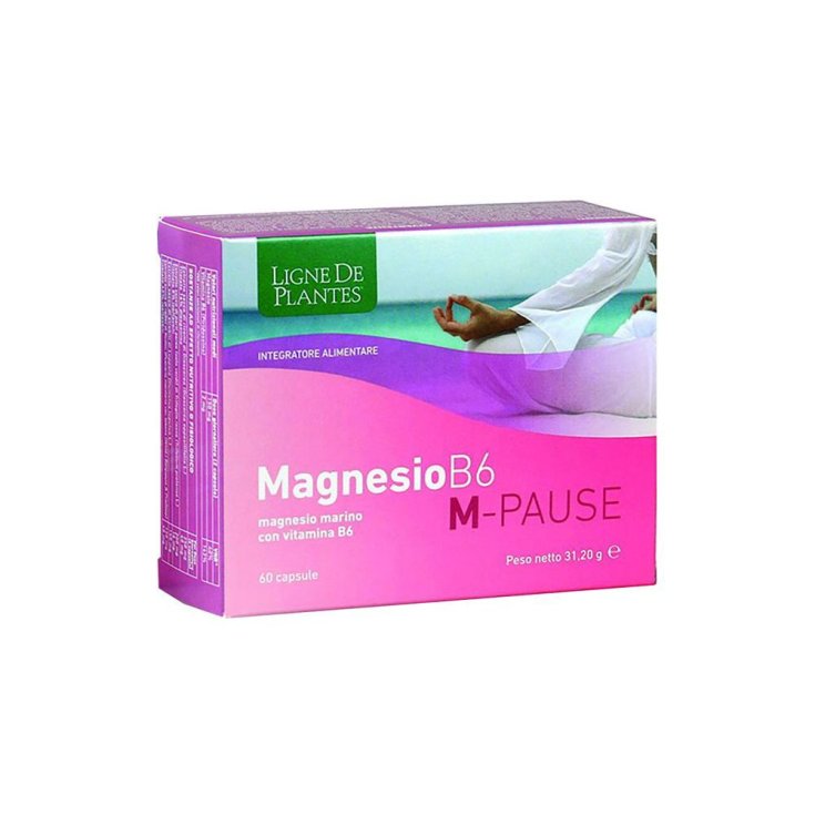 MAGNESIO B6 M-PAUSA 60CPS