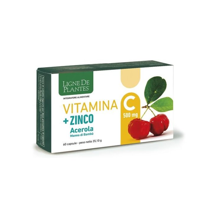 VITAMINA C 500MG+ZI/AC/BA60CPS