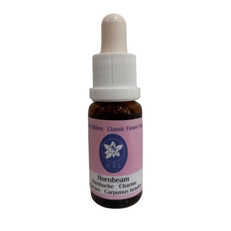 CORTE DE HORBEAN 15ML