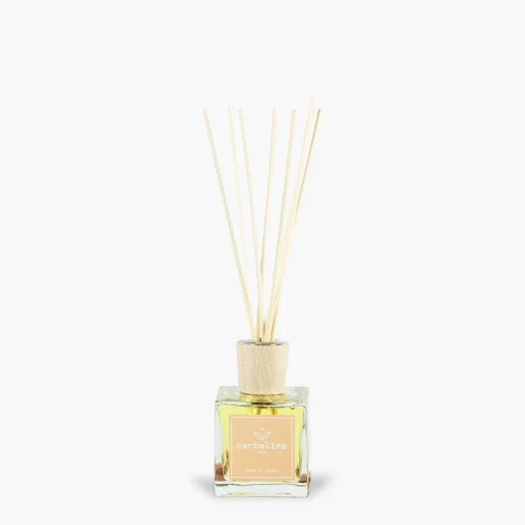 CARBALINE DIF AMB VERBEN100ML