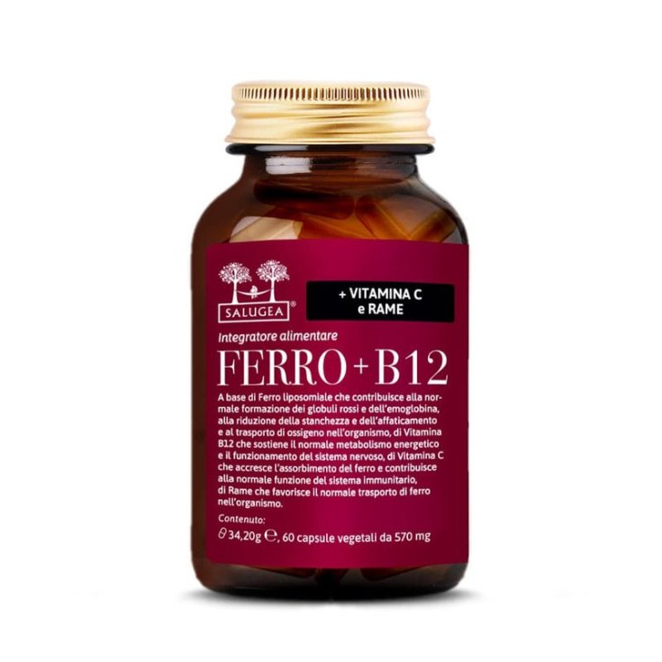 HIERRO+B12 SALUGEA 60CPS