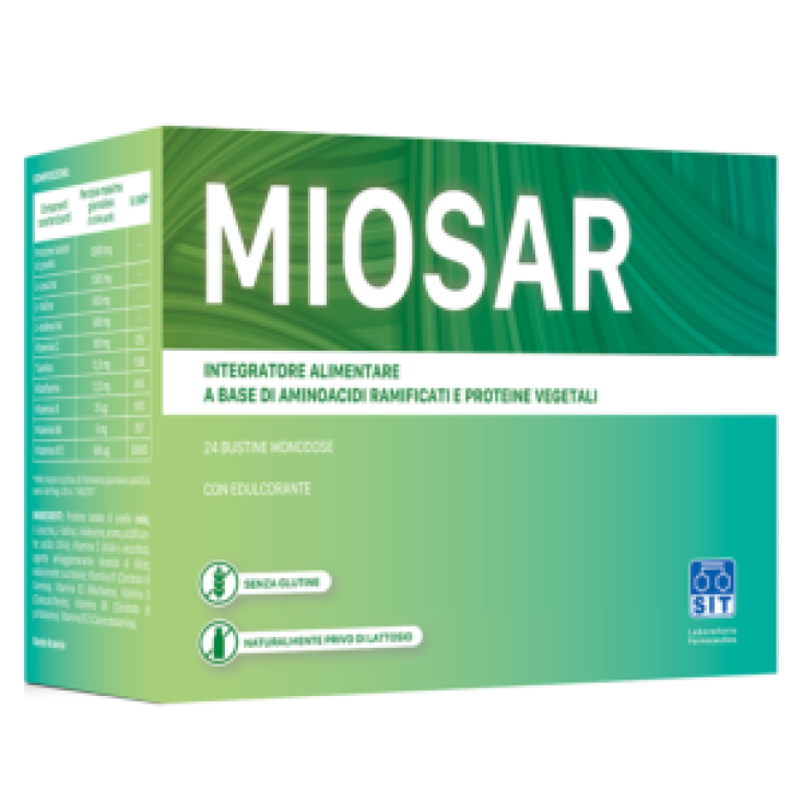 MIOSAR 24BUSTO