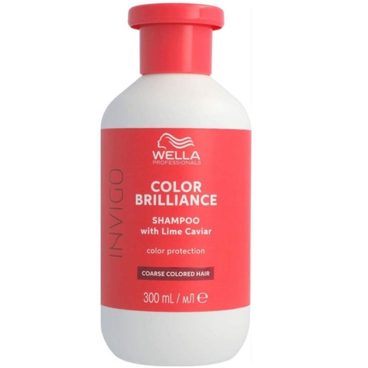 TAPA INVIGO BRILL SH BRUTO300ML