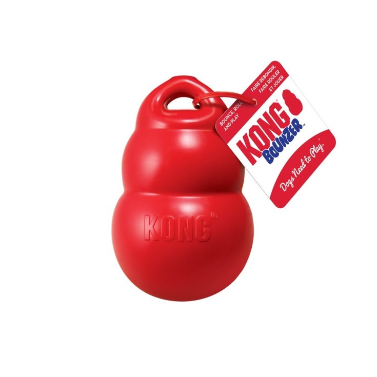 KONG BOUNZER MEDIANO