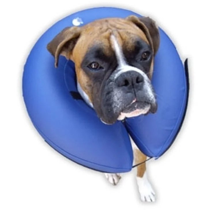 Collar hinchable Procollar azul - ø int