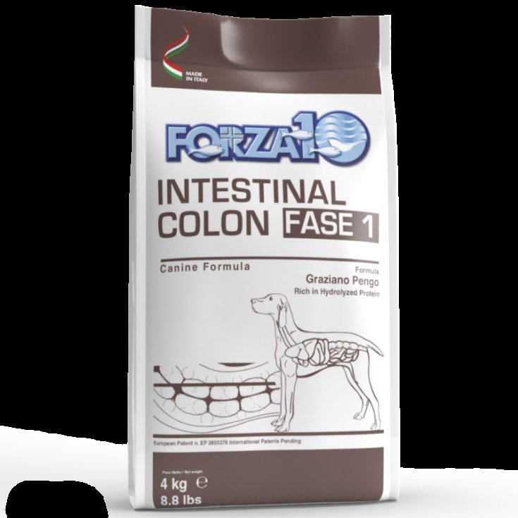 FORZA10 INTES COLON FI CAÑA4KG