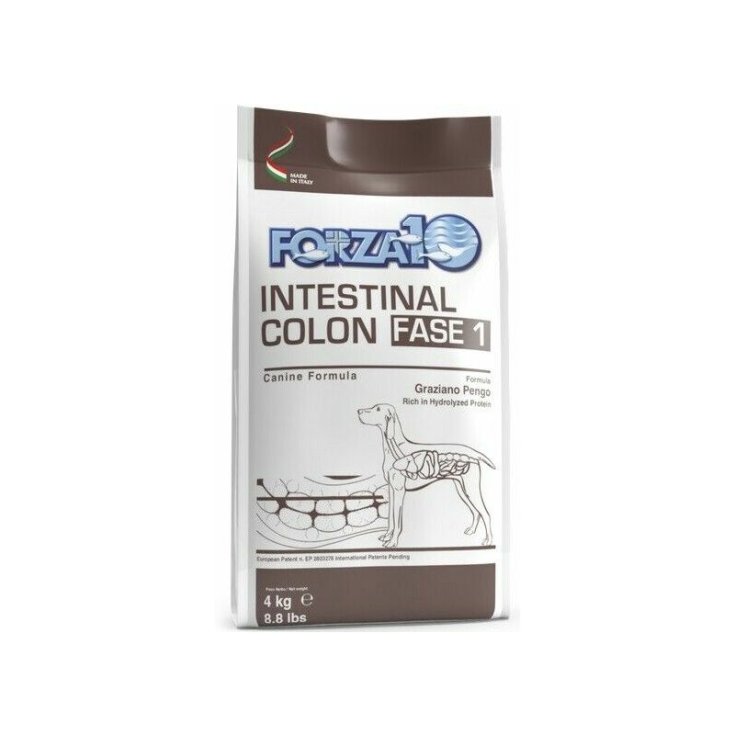 FORZA10 INTES COLON FI LATA10KG