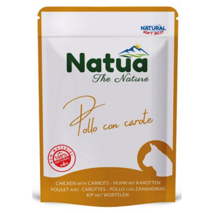 629 BUSTO GATO NATUA POL CAR70G