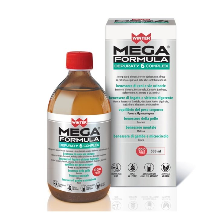 DEPURACIÓN INVIERNO MEGA FORM500ML