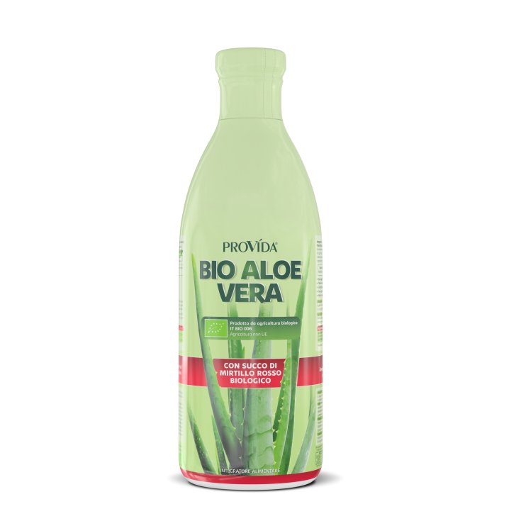 PROVIDA BIO ALOE ARÁNDANOS 1L