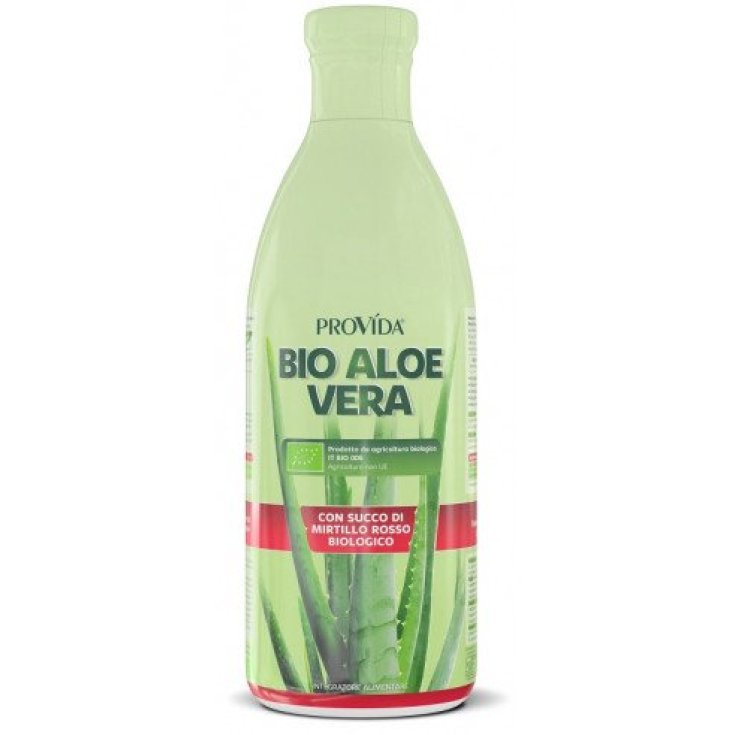 PROVIDA BIO ALOE ARÁNDANOS 1L