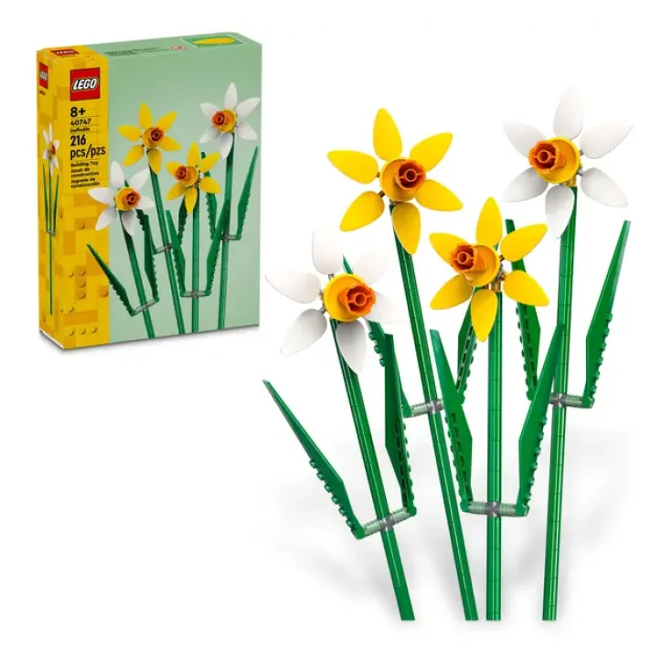 NARCISOS