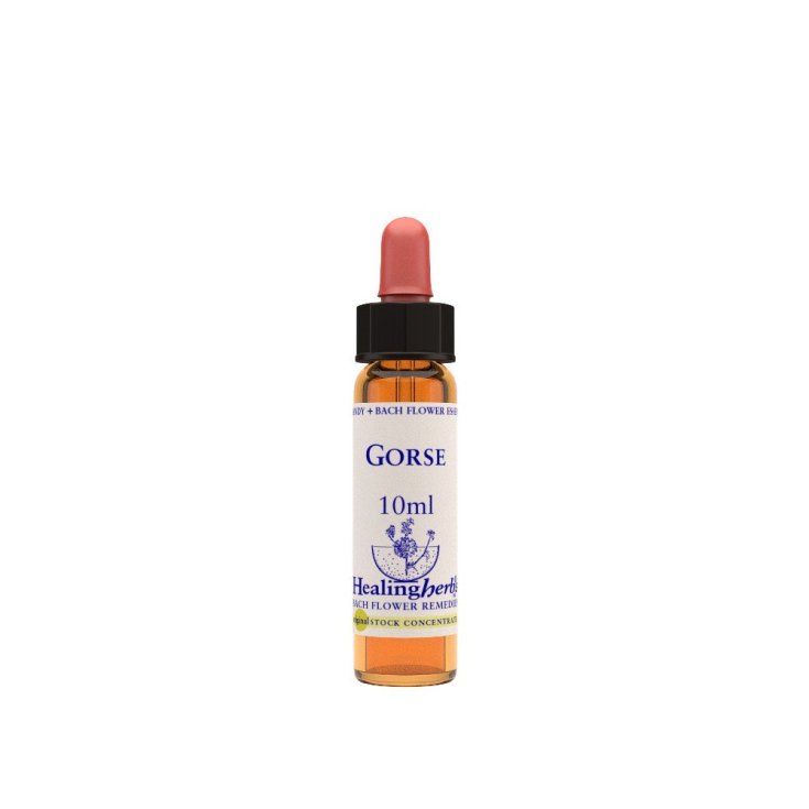 GORSE ESSENZA 10ML