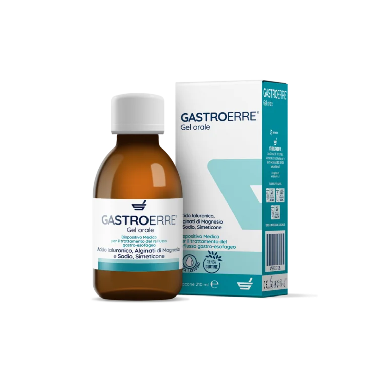 GASTROERRE 210ML