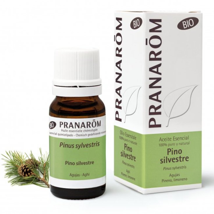 PRANAROM OE PINO SILV 10ML