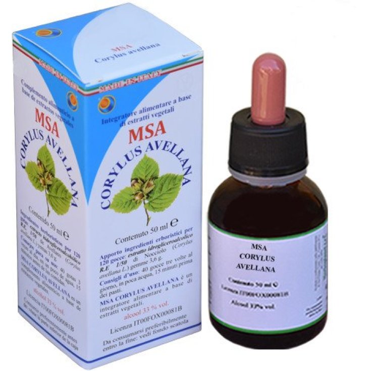 MSA CORYLUS AVELLANA 50ML