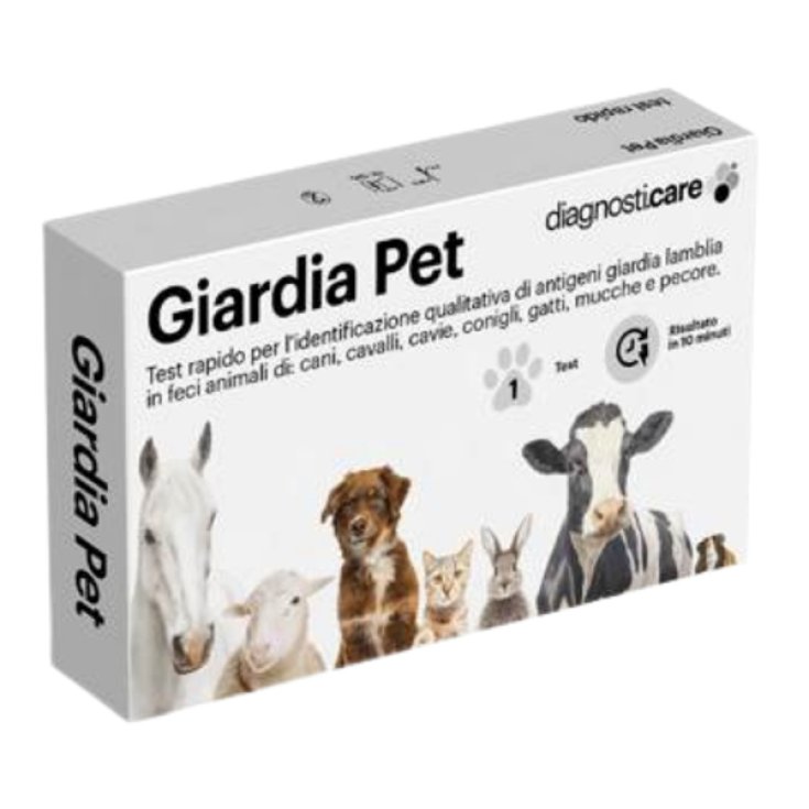 DIAGNOSTI CARE TEST GIARDIA PE