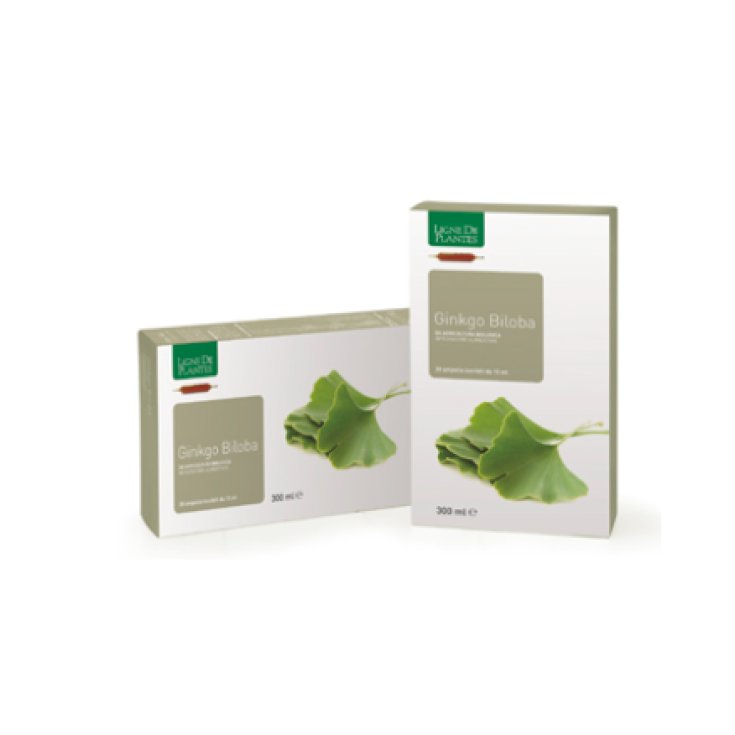 GINKGO BILOBA BIO 20AMPOLLE