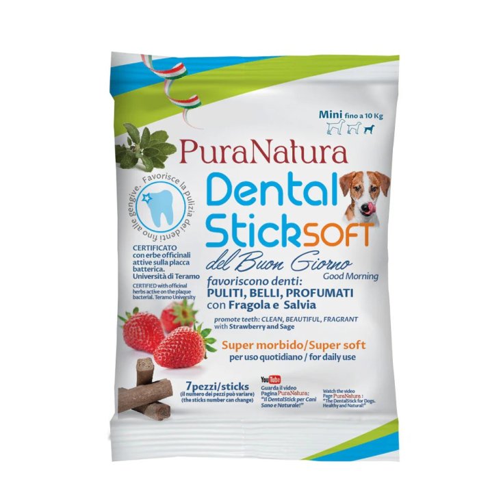 DENTAL STICK CANE MN BUONGIORN