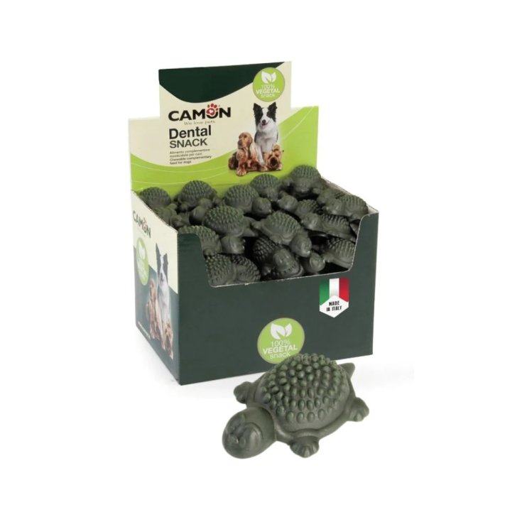 CAMONTURTLE S 20G VERDE BX 40P