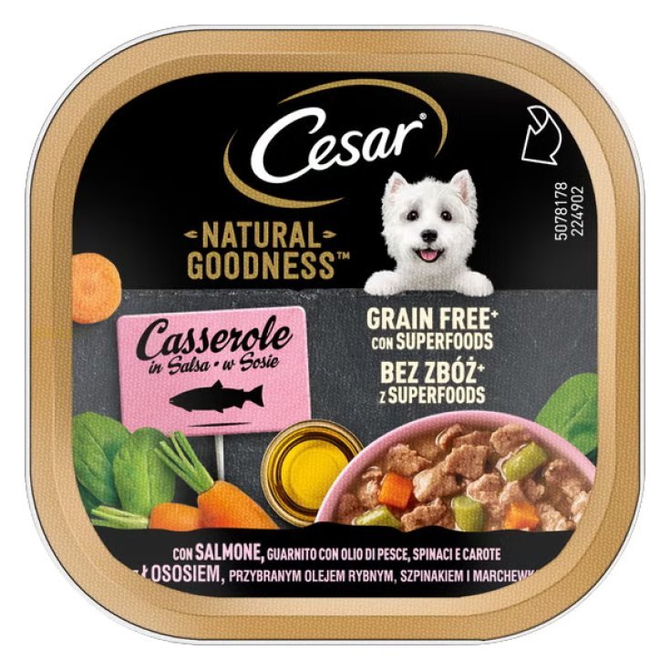 CESAR NG SALM/OLPES/SP/CAR100G