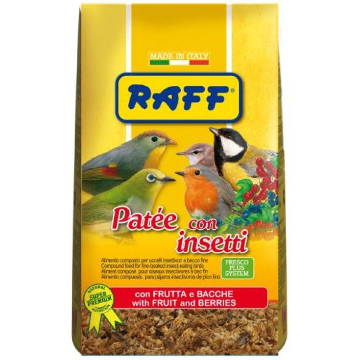 PATEE CON INSETTI 400G