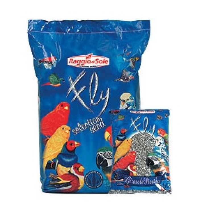 Girasole Striato Piccolo - 2,5KG
