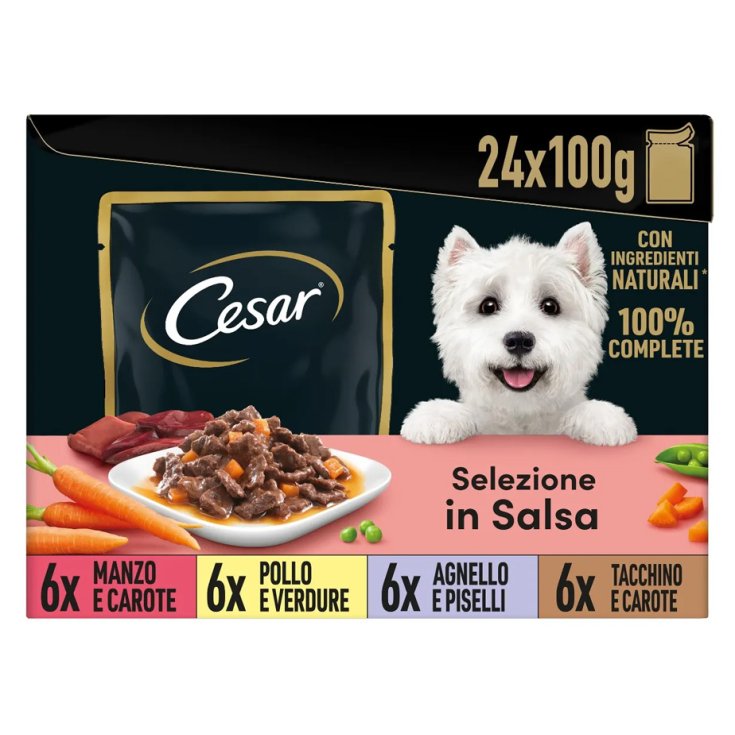 CESAR POUCH SELEZIONE SALS100G