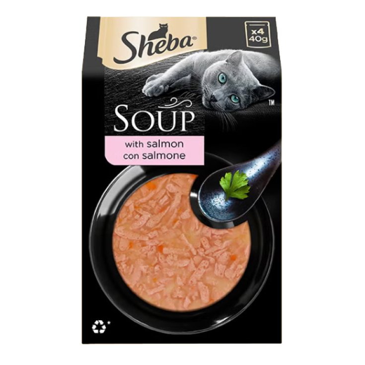 SHE SOUP SALM 40G 4PZ