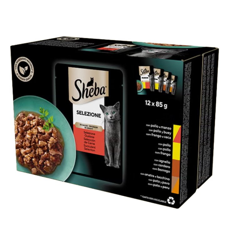 SHE SEL SALSA ASS GUST 85G 12P
