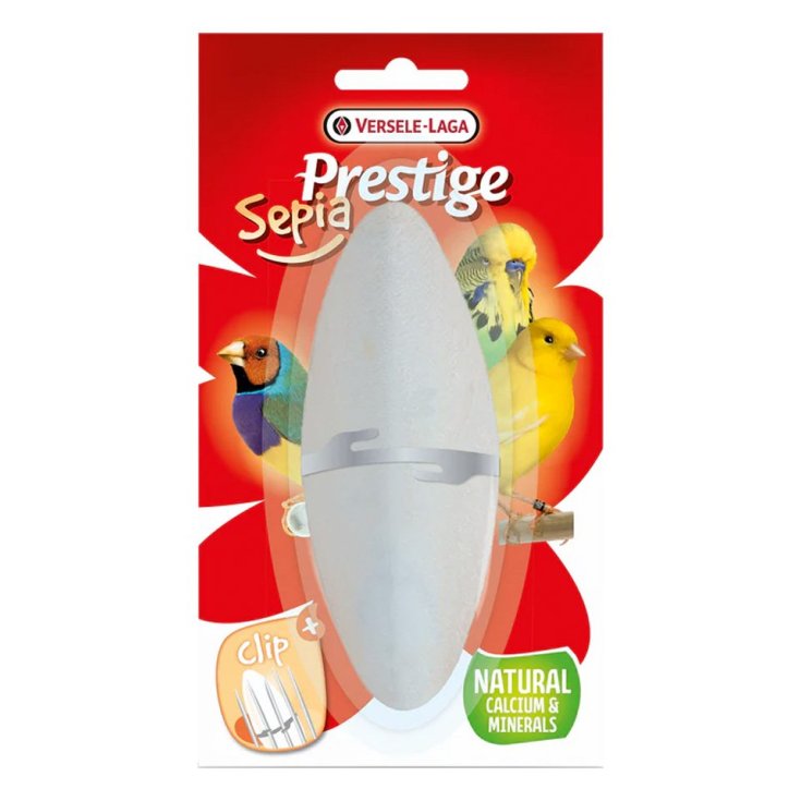 OSSI DI SEPPIA 16 CM (BLISTERA